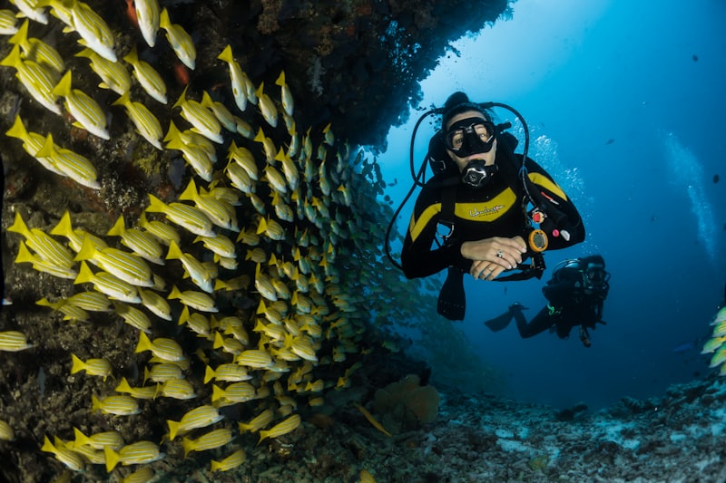 Swimming with pigs at Big Major Cay