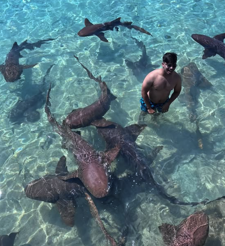 Swimming with nurse sharks in the clear shallow water at Compass Cay, Exuma